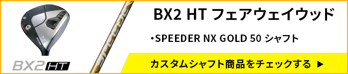 �J�X�^���V���t�g