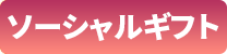 �\�[�V�����M�t�g