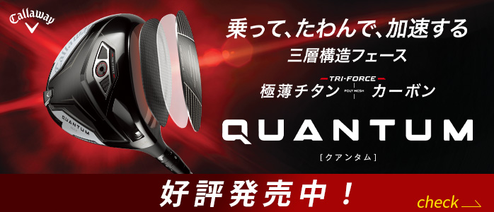 �L�����E�F�C QUANTUM