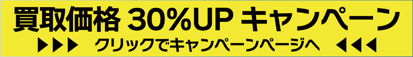 30���L�����y�[��