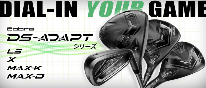 DS-ADAPT
