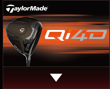 �e�[���[���C�h Qi4D