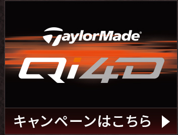 �e�[���[���C�h Qi4D �L�����y�[���͂�����