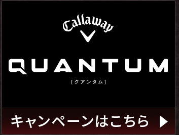 �L�����E�F�C �N�A���^�� �L�����y�[���͂�����