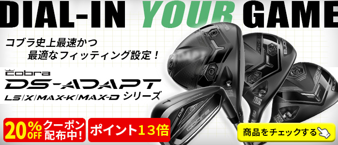 DS-ADAPT