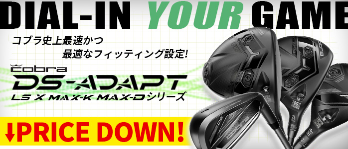 DS-ADAPT