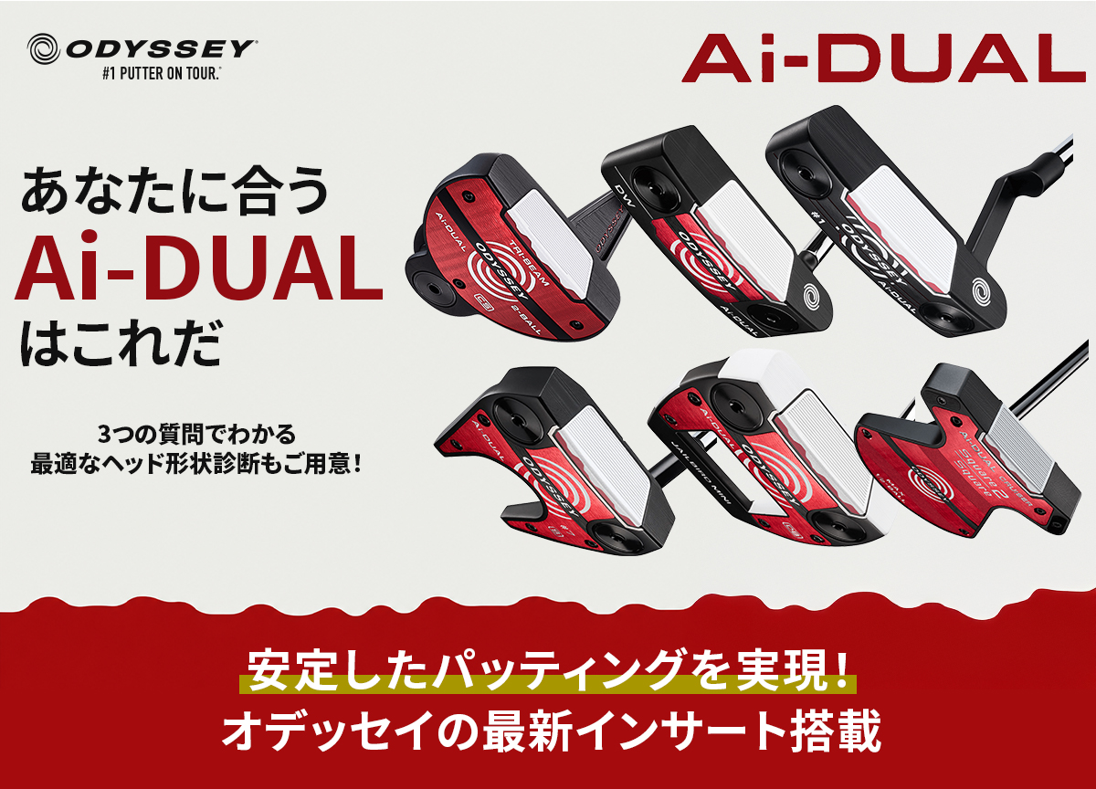 AI-DUAL���C���摜