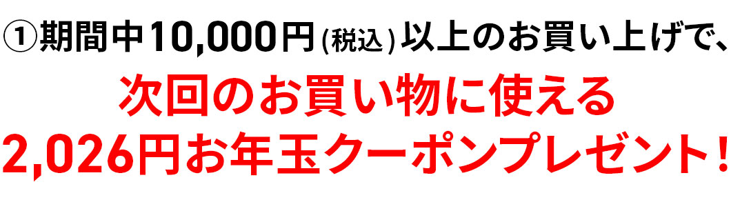 Ԓ10,000~iōjȏ̂グŁÂɎg2,026~NʃN[|v[gI