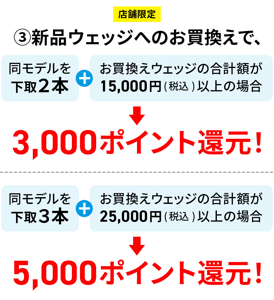 BViEFbWւ̂ŁAf2{oA̃EFbW̍vz15,000~iōjȏ̏ꍇ3,000|CgҌI
f3{oA̃EFbW̍vz25,000~iōjȏ̏ꍇ5,000|CgҌI