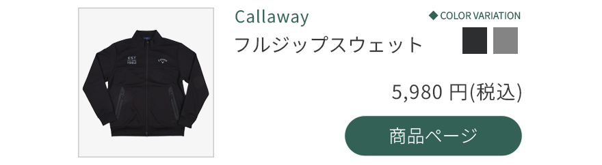 �L�����E�F�C�t���W�b�v�X�E�F�b�g