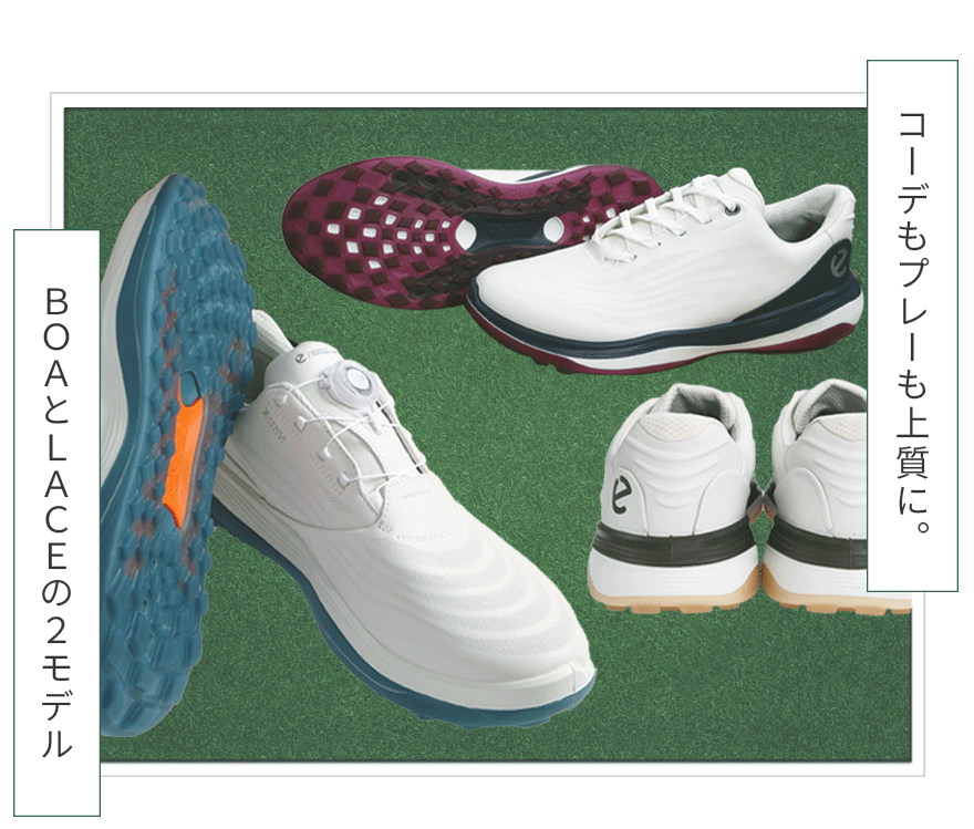 ecco LT1 BOA LACE �����Y