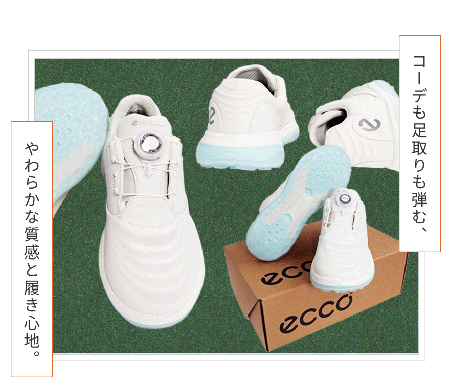 ecco LT1 BOA ���f�B�[�X