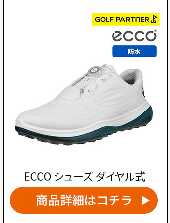 ���i�ڍׂ̓R�`��_ECCO