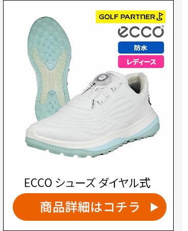 ���i�ڍׂ̓R�`��_ECCO���f�B�[�X